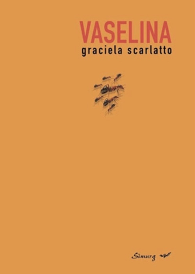 Tapa de Vaselina, novela de Graciela Scarlatto
